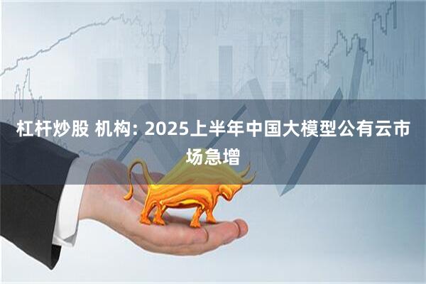 杠杆炒股 机构: 2025上半年中国大模型公有云市场急增