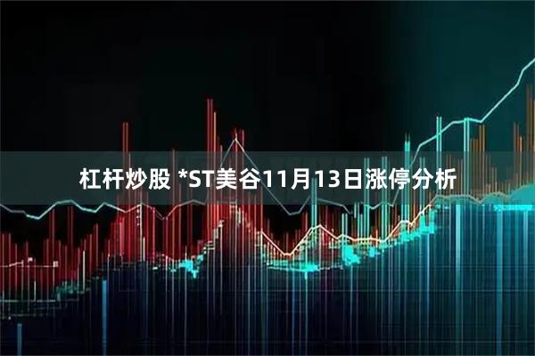 杠杆炒股 *ST美谷11月13日涨停分析